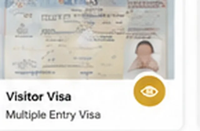 Client visitor visa document